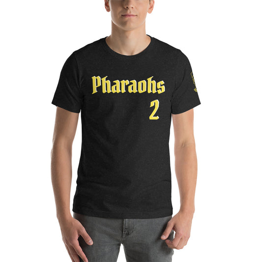 A1EP1 Egypt Pharaohs Unisex t-shirt