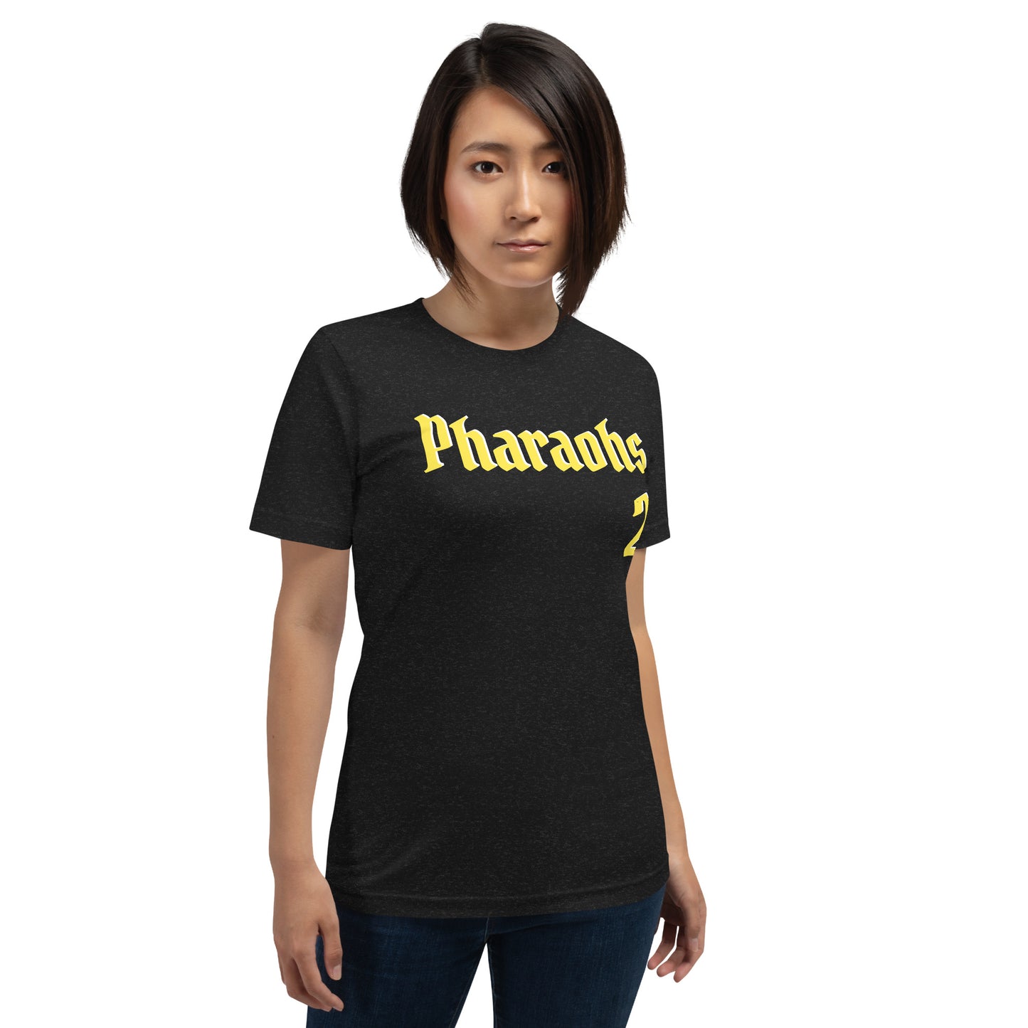 A1EP1 Egypt Pharaohs Unisex t-shirt