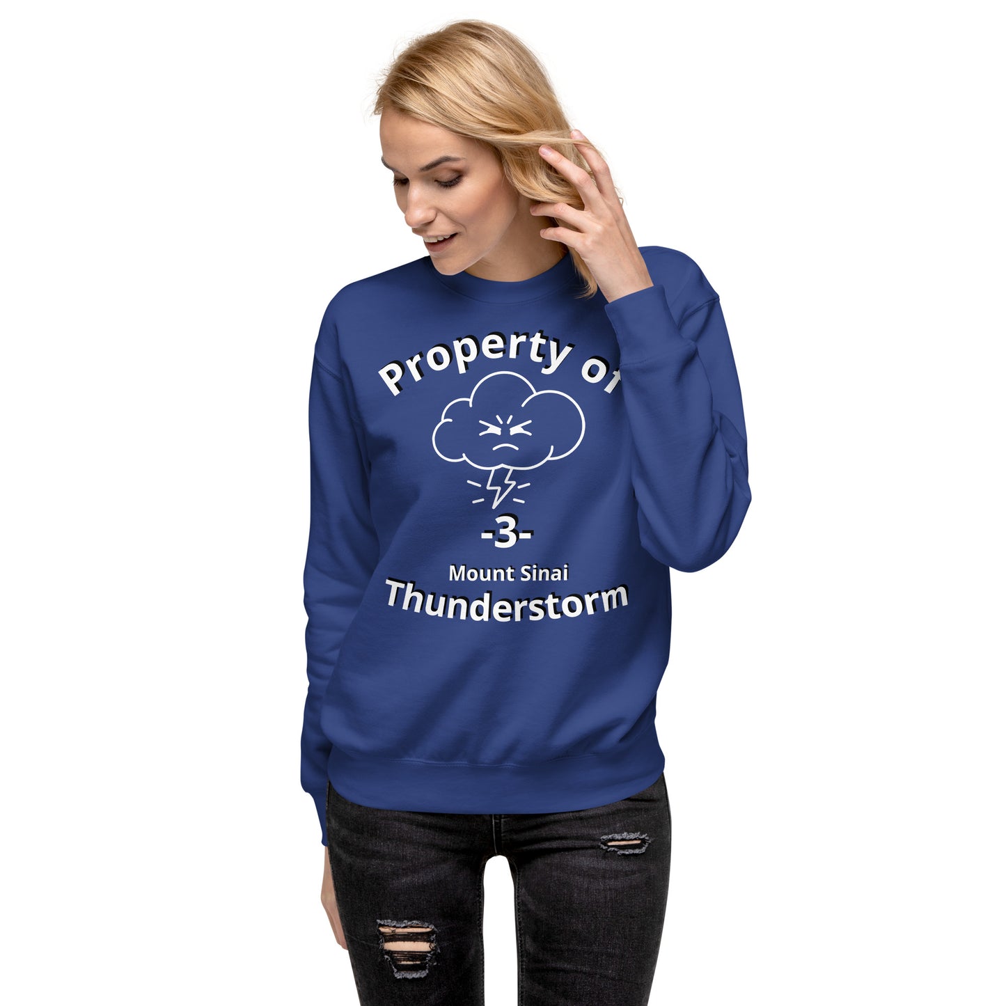 A1MSTL Mt. Sinai Thunderstorm Unisex Premium Sweatshirt