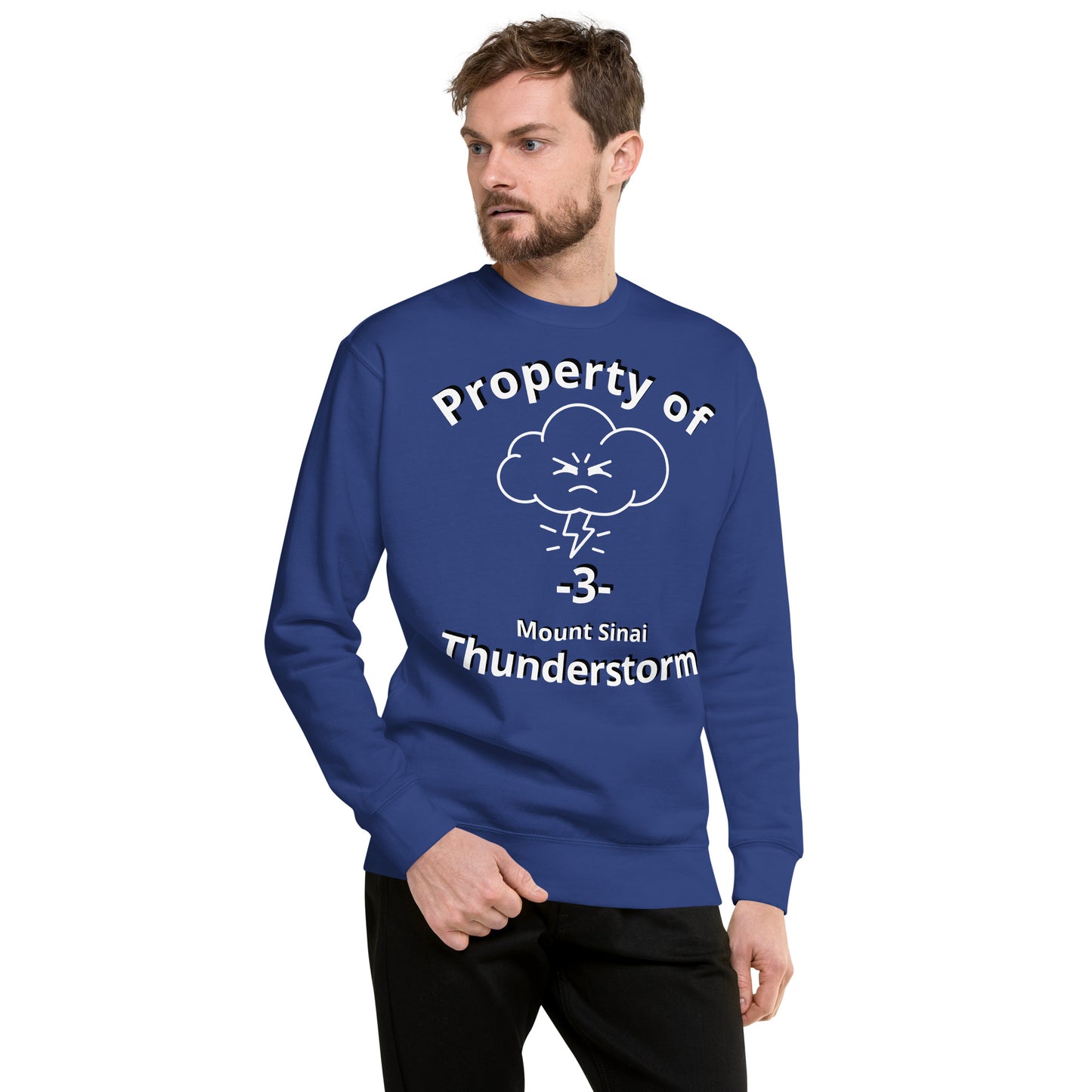 A1MSTL Mt. Sinai Thunderstorm Unisex Premium Sweatshirt