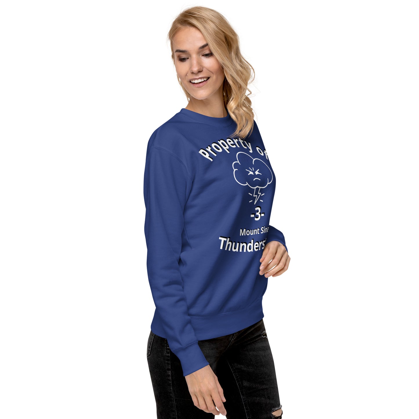 A1MSTL Mt. Sinai Thunderstorm Unisex Premium Sweatshirt