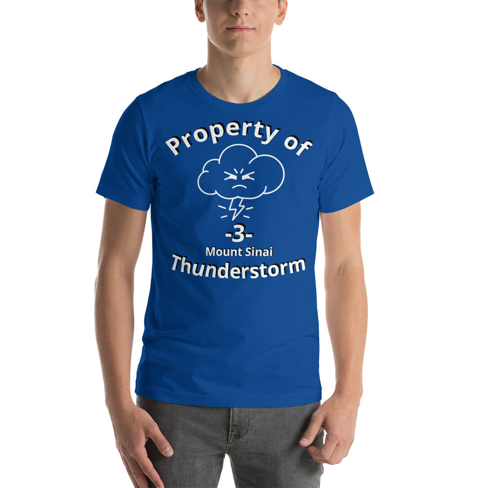 A1MST Mt. Sinai Thunderstorm Unisex t-shirt